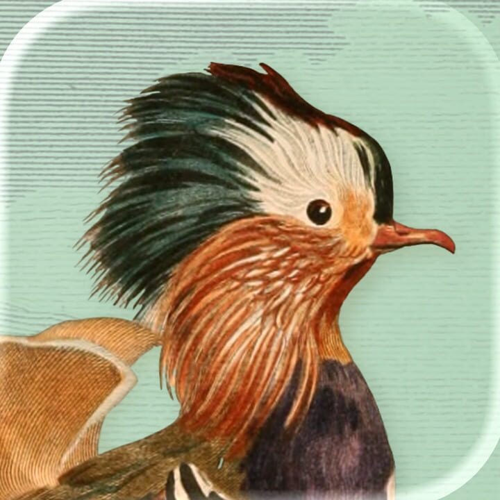 Copertina di Art of Fauna Cozy Puzzles+ Gamescafe Copertina di Art of Fauna Cozy Puzzles+