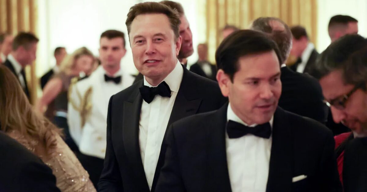 Trailer di un documentario su Elon Musk davanti alle icone di YouTube TikTok Meta e X