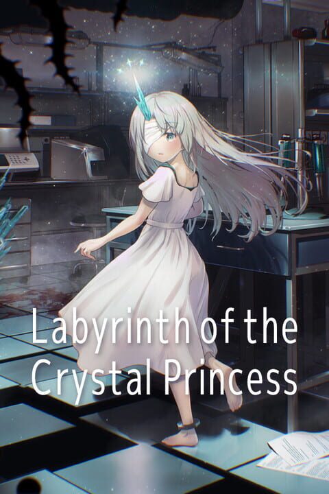 Copertina di Labyrinth of the Crystal Princess
