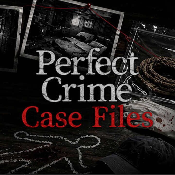 Copertina di Perfect Crime Case Files Gamescafe Copertina di Perfect Crime Case Files